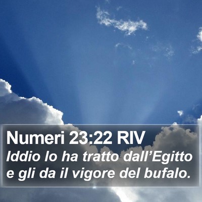 Numeri 23:22 RIV Bible Verse Image