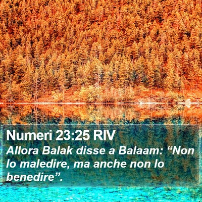 Numeri 23:25 RIV Bible Verse Image