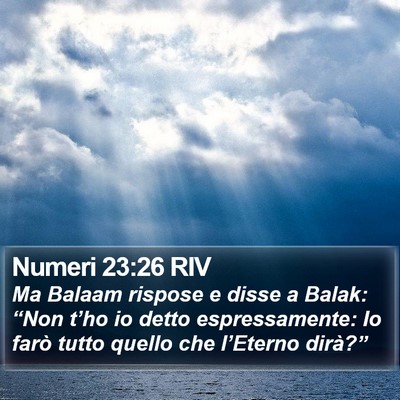 Numeri 23:26 RIV Bible Verse Image