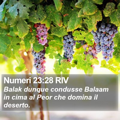 Numeri 23:28 RIV Bible Verse Image
