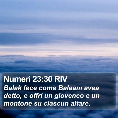 Numeri 23:30 RIV Bible Verse Image