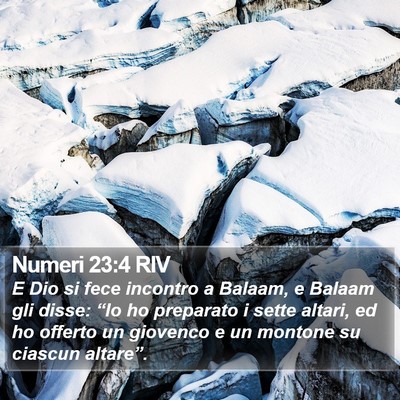 Numeri 23:4 RIV Bible Verse Image