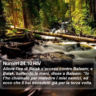 Numeri 24:10 RIV Bible Verse Image