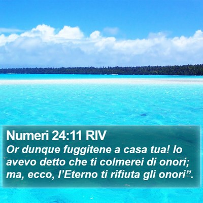 Numeri 24:11 RIV Bible Verse Image