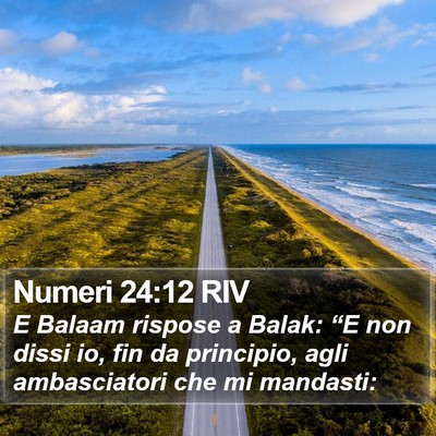 Numeri 24:12 RIV Bible Verse Image