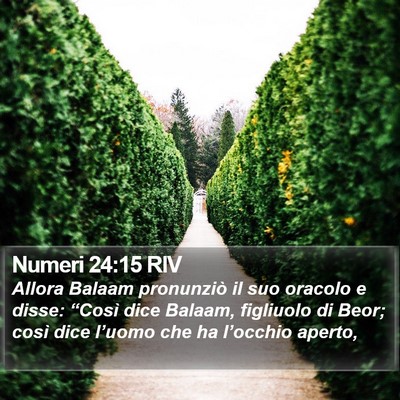 Numeri 24:15 RIV Bible Verse Image