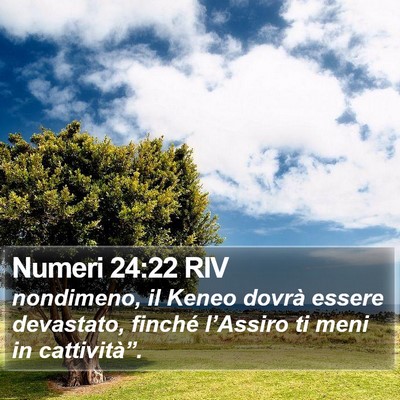 Numeri 24:22 RIV Bible Verse Image