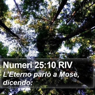 Numeri 25:10 RIV Bible Verse Image