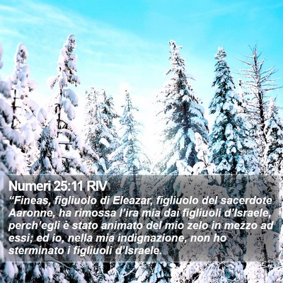 Numeri 25:11 RIV Bible Verse Image