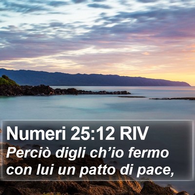 Numeri 25:12 RIV Bible Verse Image