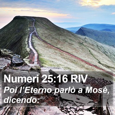 Numeri 25:16 RIV Bible Verse Image