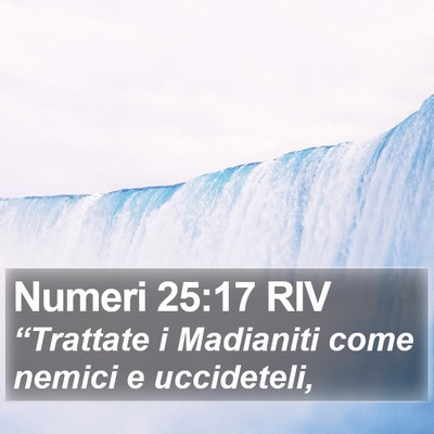 Numeri 25:17 RIV Bible Verse Image