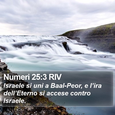 Numeri 25:3 RIV Bible Verse Image