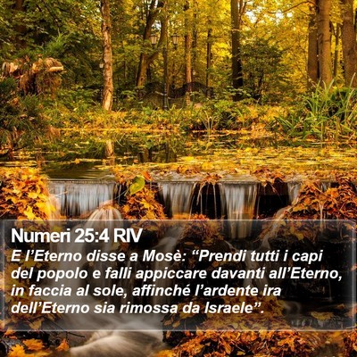 Numeri 25:4 RIV Bible Verse Image