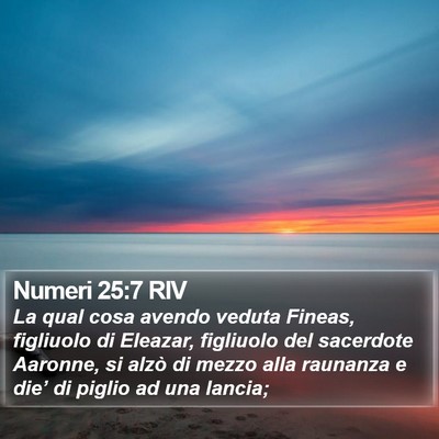 Numeri 25:7 RIV Bible Verse Image