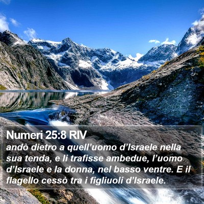 Numeri 25:8 RIV Bible Verse Image