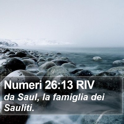 Numeri 26:13 RIV Bible Verse Image