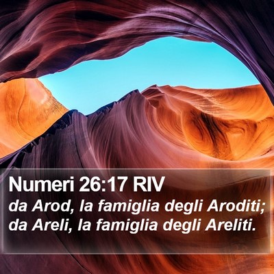 Numeri 26:17 RIV Bible Verse Image