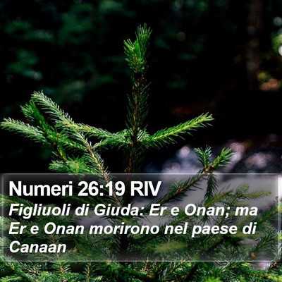 Numeri 26:19 RIV Bible Verse Image