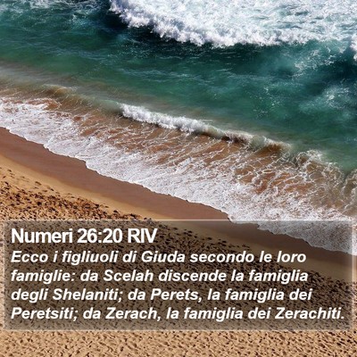 Numeri 26:20 RIV Bible Verse Image