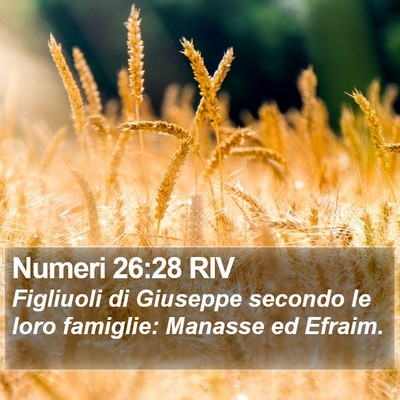Numeri 26:28 RIV Bible Verse Image