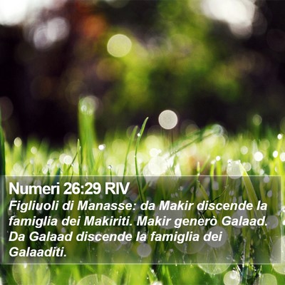 Numeri 26:29 RIV Bible Verse Image