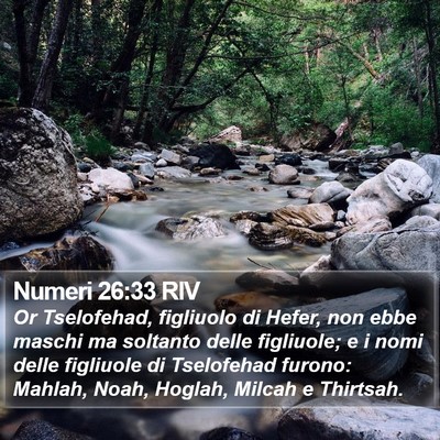 Numeri 26:33 RIV Bible Verse Image
