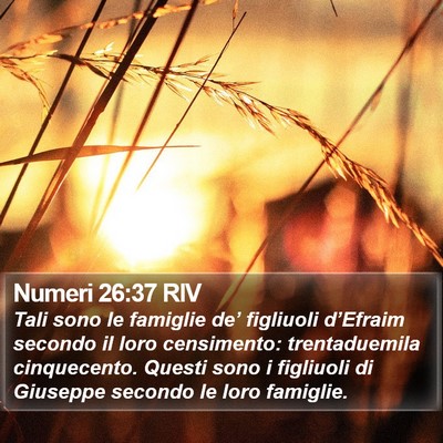 Numeri 26:37 RIV Bible Verse Image