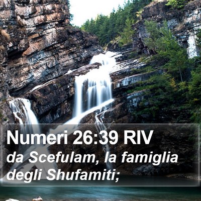 Numeri 26:39 RIV Bible Verse Image