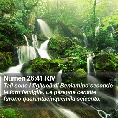 Numeri 26:41 RIV Bible Verse Image
