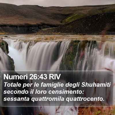 Numeri 26:43 RIV Bible Verse Image