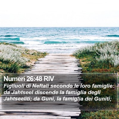 Numeri 26:48 RIV Bible Verse Image