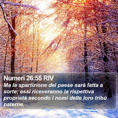 Numeri 26:55 RIV Bible Verse Image