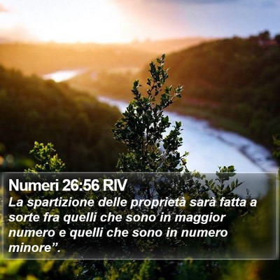 Numeri 26:56 RIV Bible Verse Image