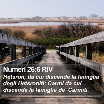 Numeri 26:6 RIV Bible Verse Image
