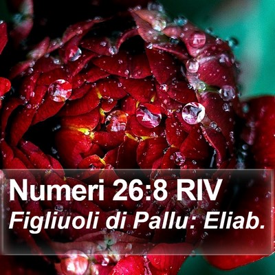 Numeri 26:8 RIV Bible Verse Image