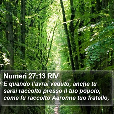 Numeri 27:13 RIV Bible Verse Image