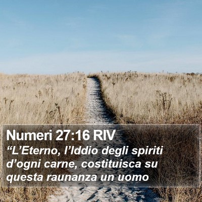 Numeri 27:16 RIV Bible Verse Image