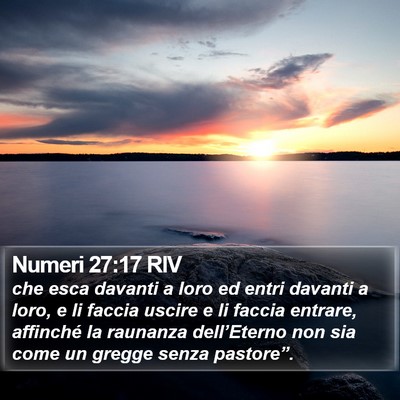 Numeri 27:17 RIV Bible Verse Image