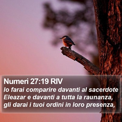 Numeri 27:19 RIV Bible Verse Image