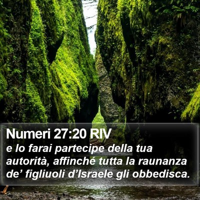 Numeri 27:20 RIV Bible Verse Image