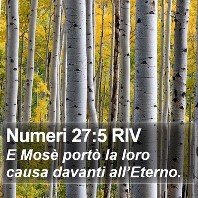 Numeri 27:5 RIV Bible Verse Image