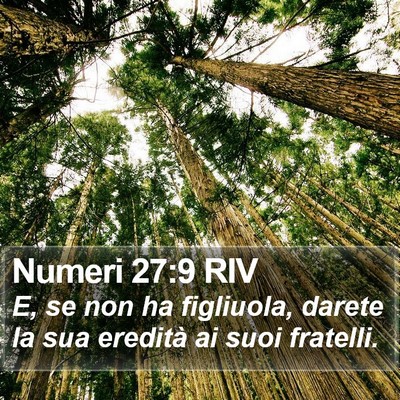 Numeri 27:9 RIV Bible Verse Image