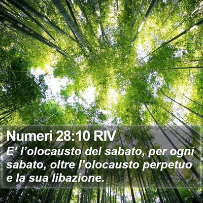 Numeri 28:10 RIV Bible Verse Image