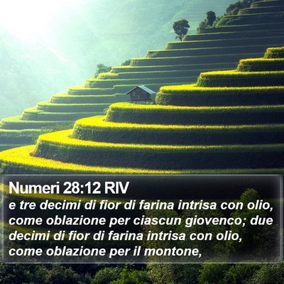 Numeri 28:12 RIV Bible Verse Image