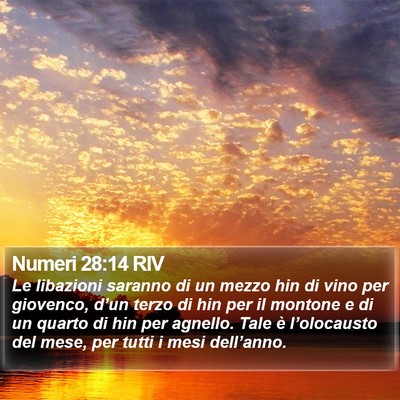 Numeri 28:14 RIV Bible Verse Image