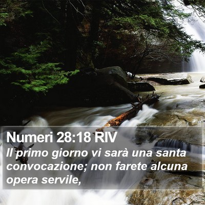 Numeri 28:18 RIV Bible Verse Image