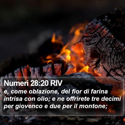 Numeri 28:20 RIV Bible Verse Image