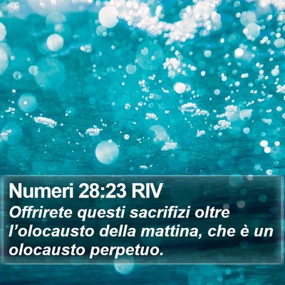 Numeri 28:23 RIV Bible Verse Image