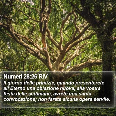 Numeri 28:26 RIV Bible Verse Image
